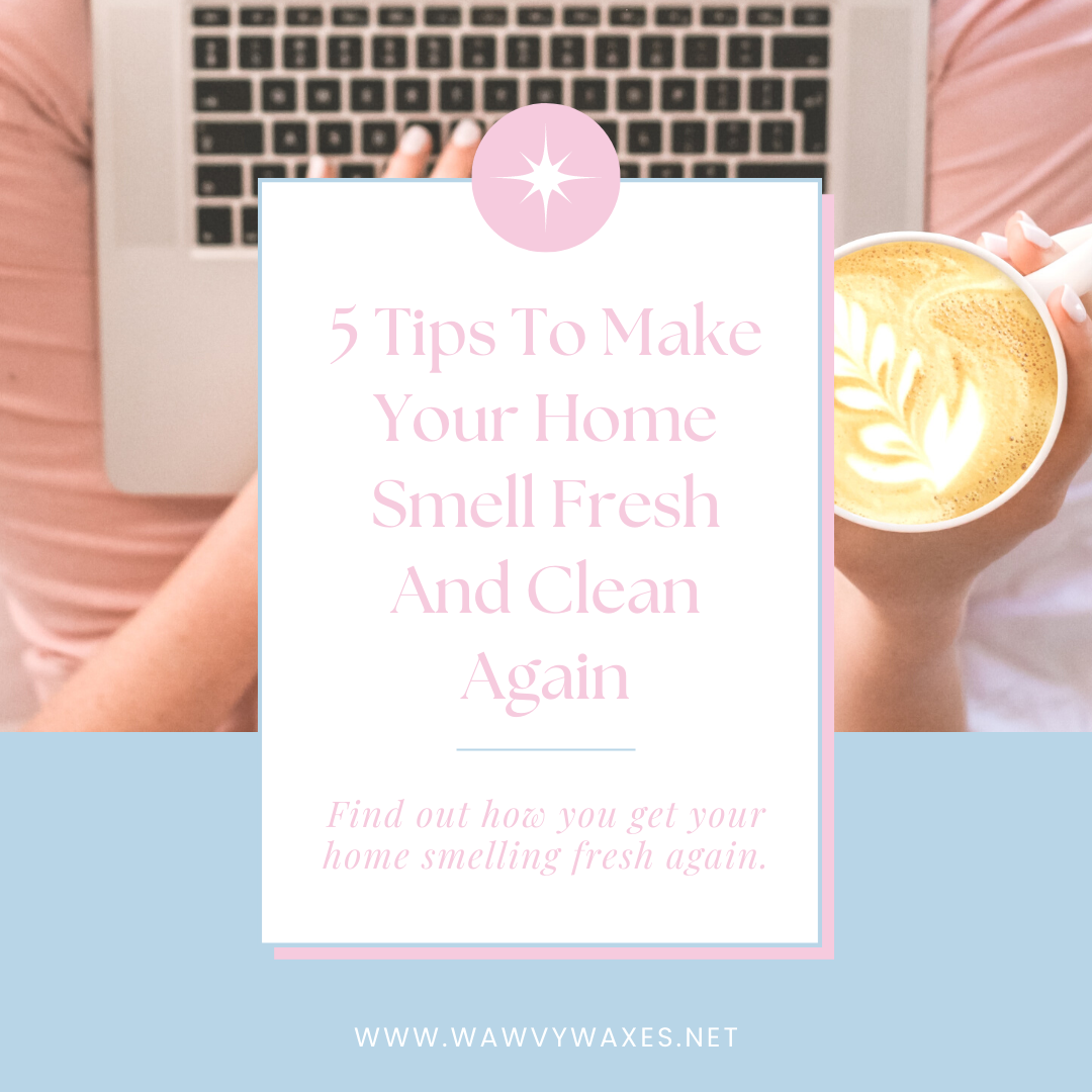 5 Tips To Make Your Home Smell Fresh And Clean Again.